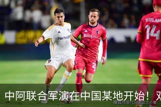 中阿联合军演在中国某地开始！双方战机都藏一手，派出什么罕见机型？