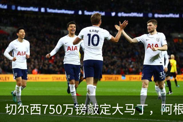 切尔西750万镑敲定大马丁，阿根廷国门重返伦敦或任主力