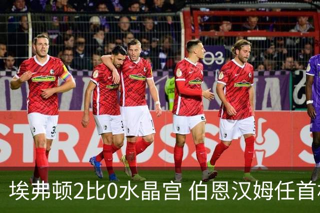 埃弗顿2比0水晶宫 伯恩汉姆任首相后首战见证完胜